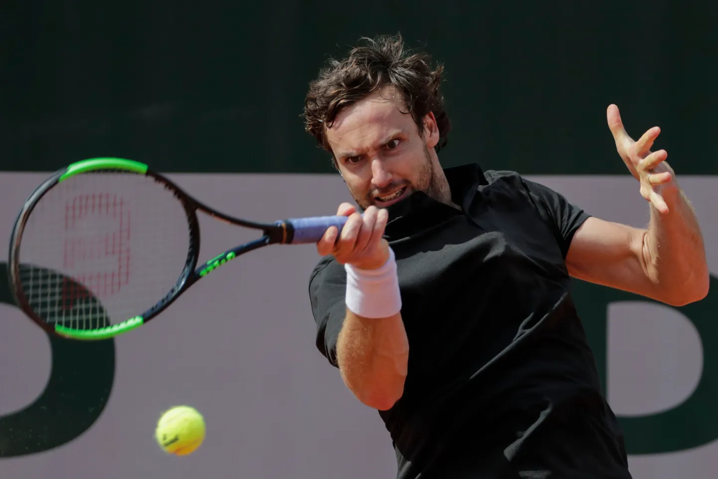 Ernests Gulbis