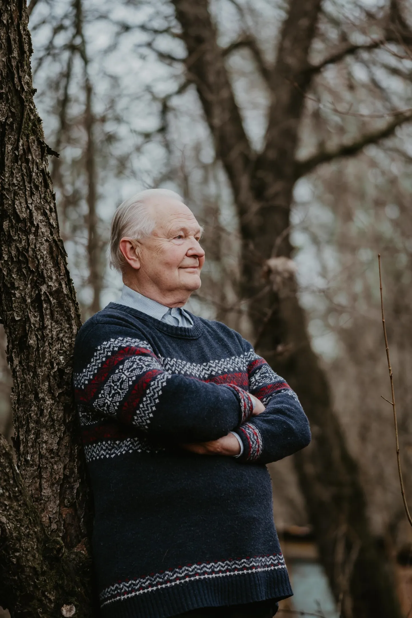 Jaak Uibu