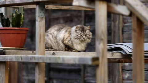 V sredo v Latviji pričakovati toplo vreme z občasno oblačnostjo in rahlim dežjem