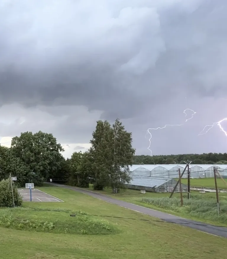 Äike Pärnumaal.