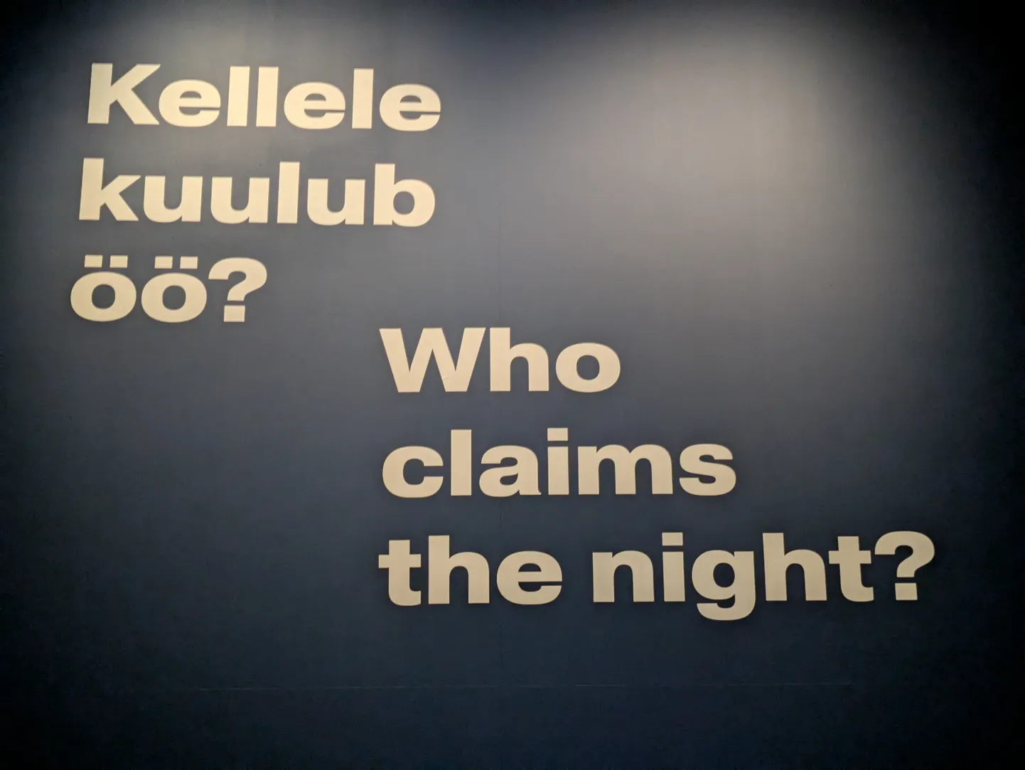 Foto ERMi hiljutisest näitusest “Kellele kuulub öö?”
