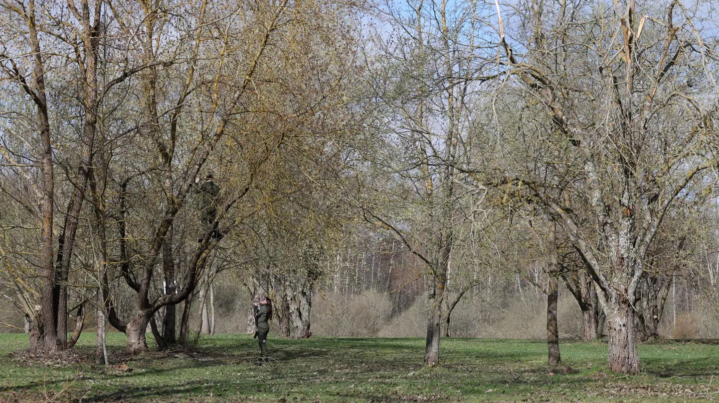 Supilinna tiigi kõrval oli kavas alustada Tähtvere spordipargi uue parkla ehitusega, kuid linn otsustas selle nüüd vähemalt aasta lõpuni pausile panna.