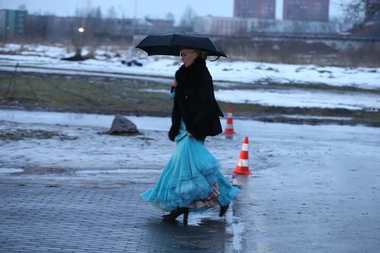 Saabudes presidendi vastuvõtule. Foto: