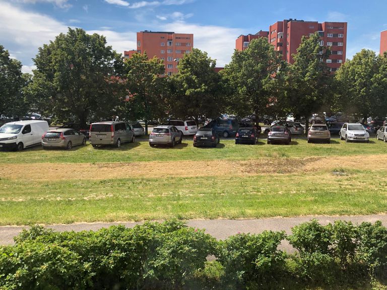 Сотни машин припаркованы на газонах