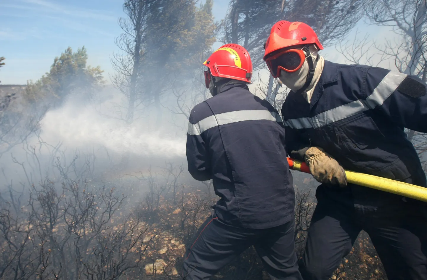 Prantsuse tuletõrjujad võitlemas metsapõlenguga