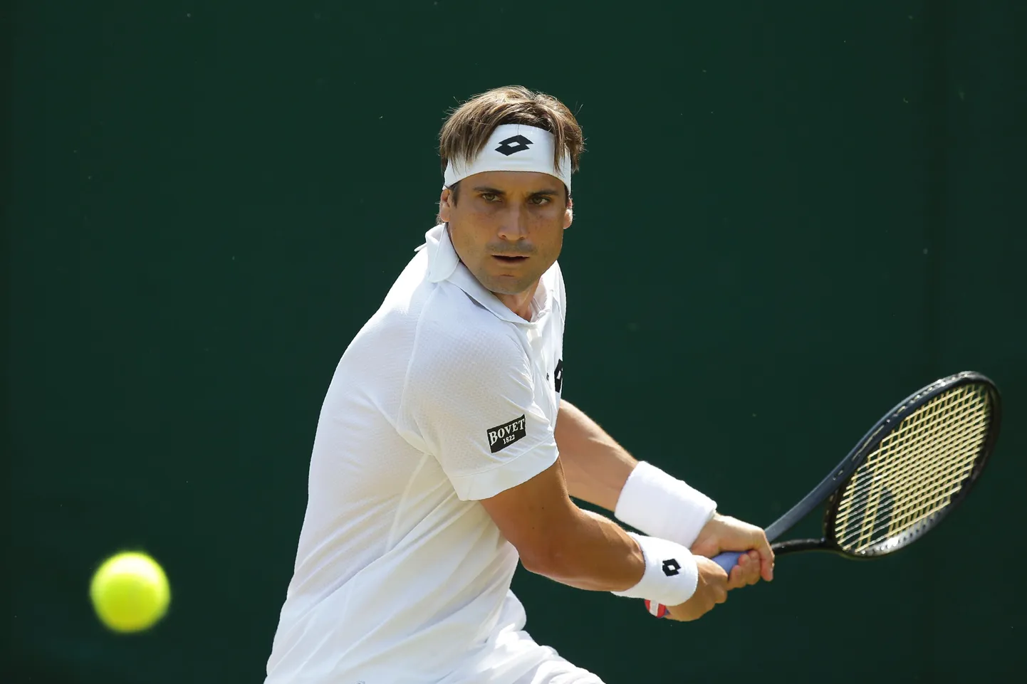 David Ferrer.