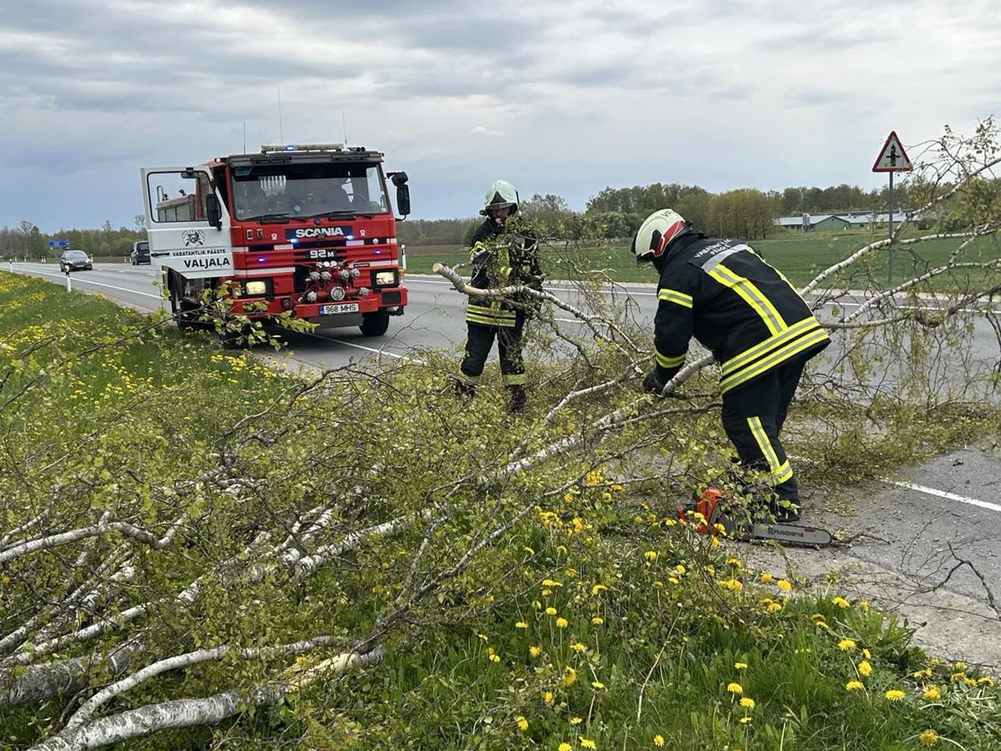 Valjala vabatahtlike päästekomando eemaldamas teele langenud puud.