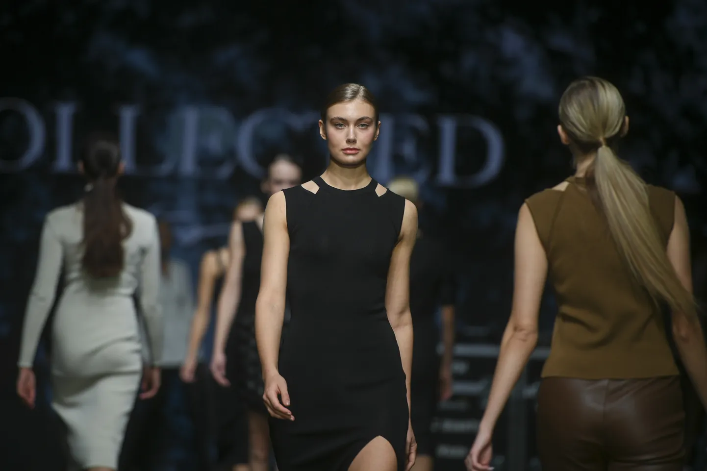 5-й день RFW: Collected Story