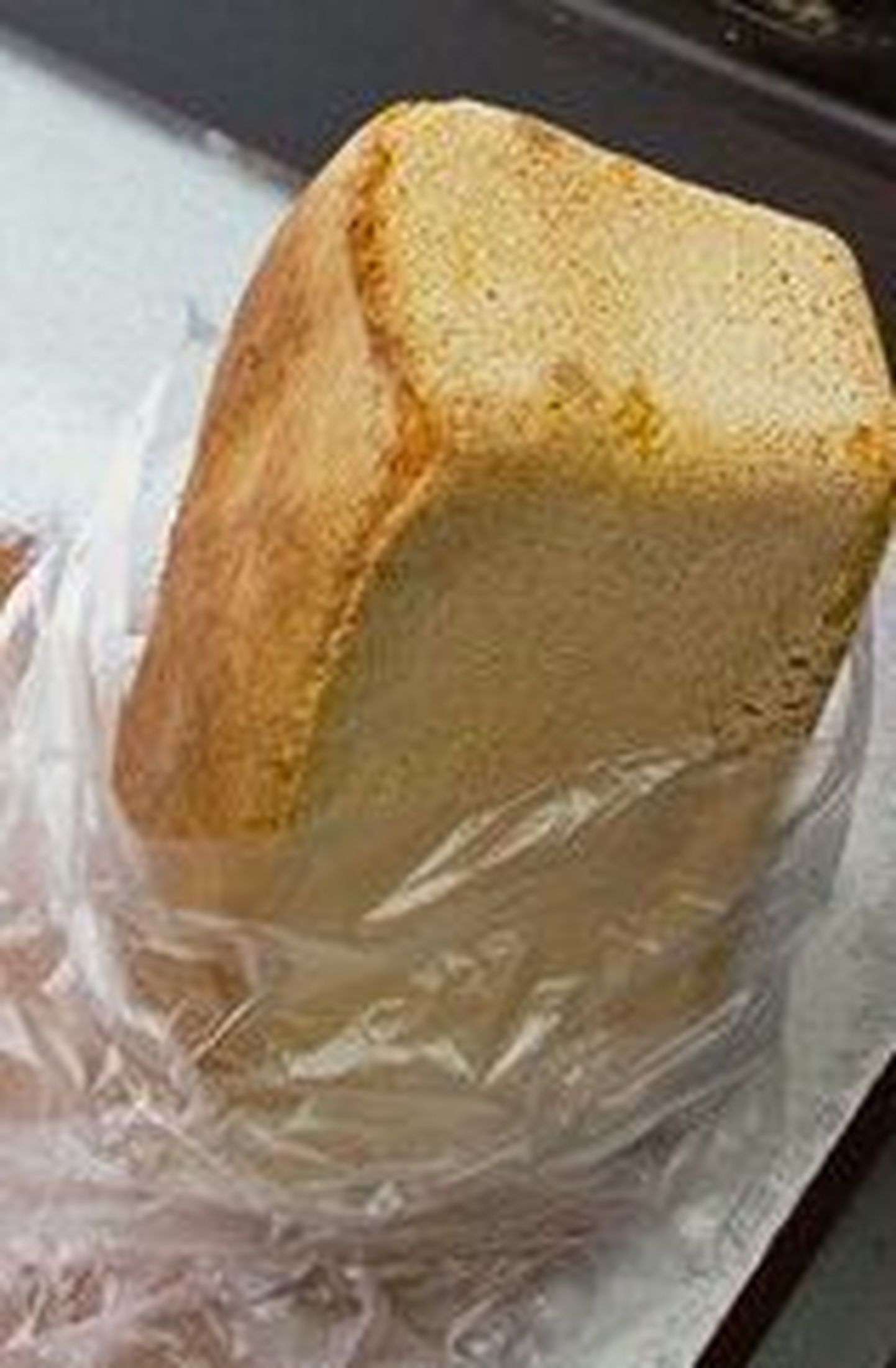 Iirlane leidis leivast surnud hiire