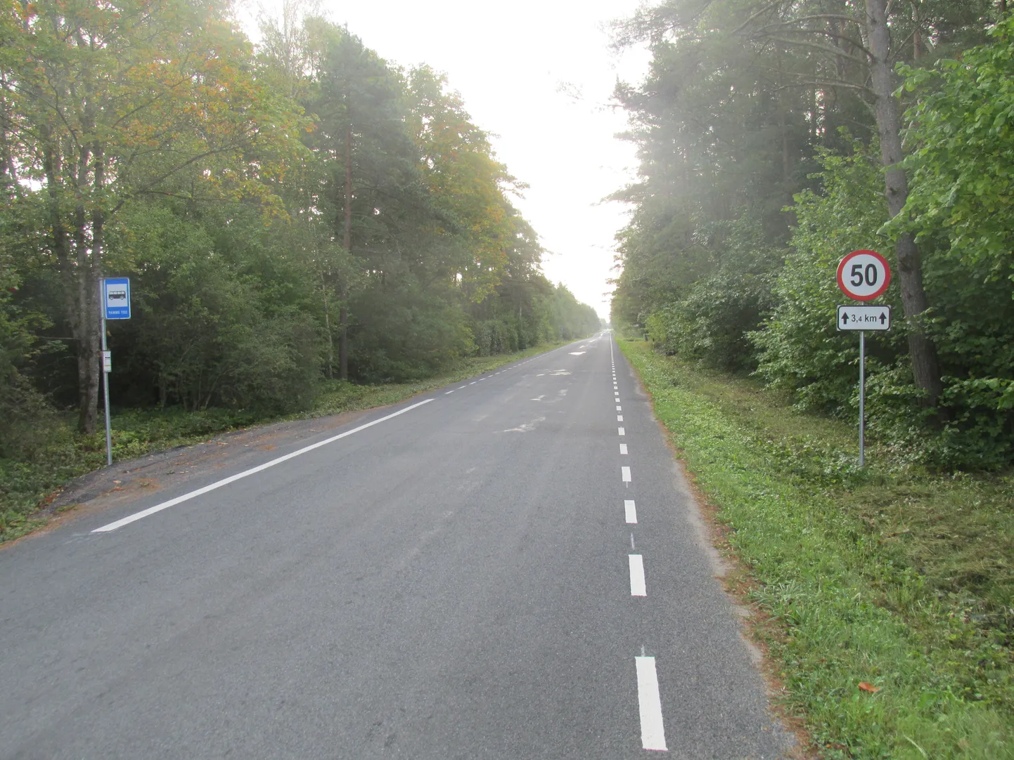 Peale õnnetust Kuressaare-Püha-Masa maanteel paigaldas transpordiamet Saaremaa valla liikluskomisjoni ettepanekul uue bussipeatuse Tamme teele, lisaks kehtestati Muratsi sadama teele kiirusepiirang