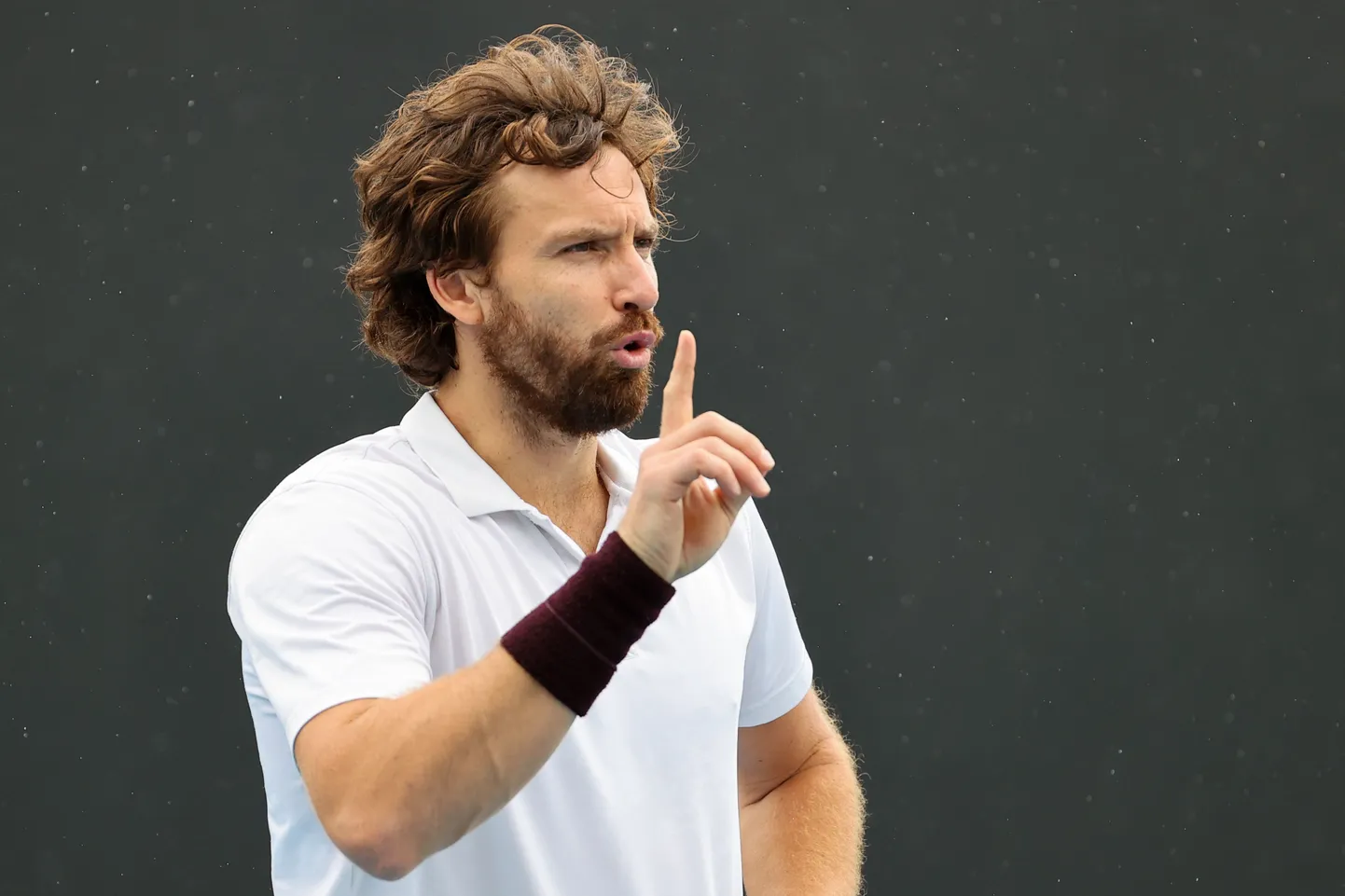 Ernests Gulbis