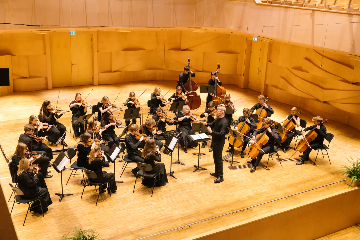 Tallinna Vanalinna Hariduskolleegiumi orkester tuleb esinema ka Paide Püha Risti kirikusse.