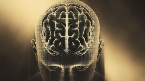 Учёные из Окинавы нашли химическое вещество, помогающее избавиться от вредных привычек