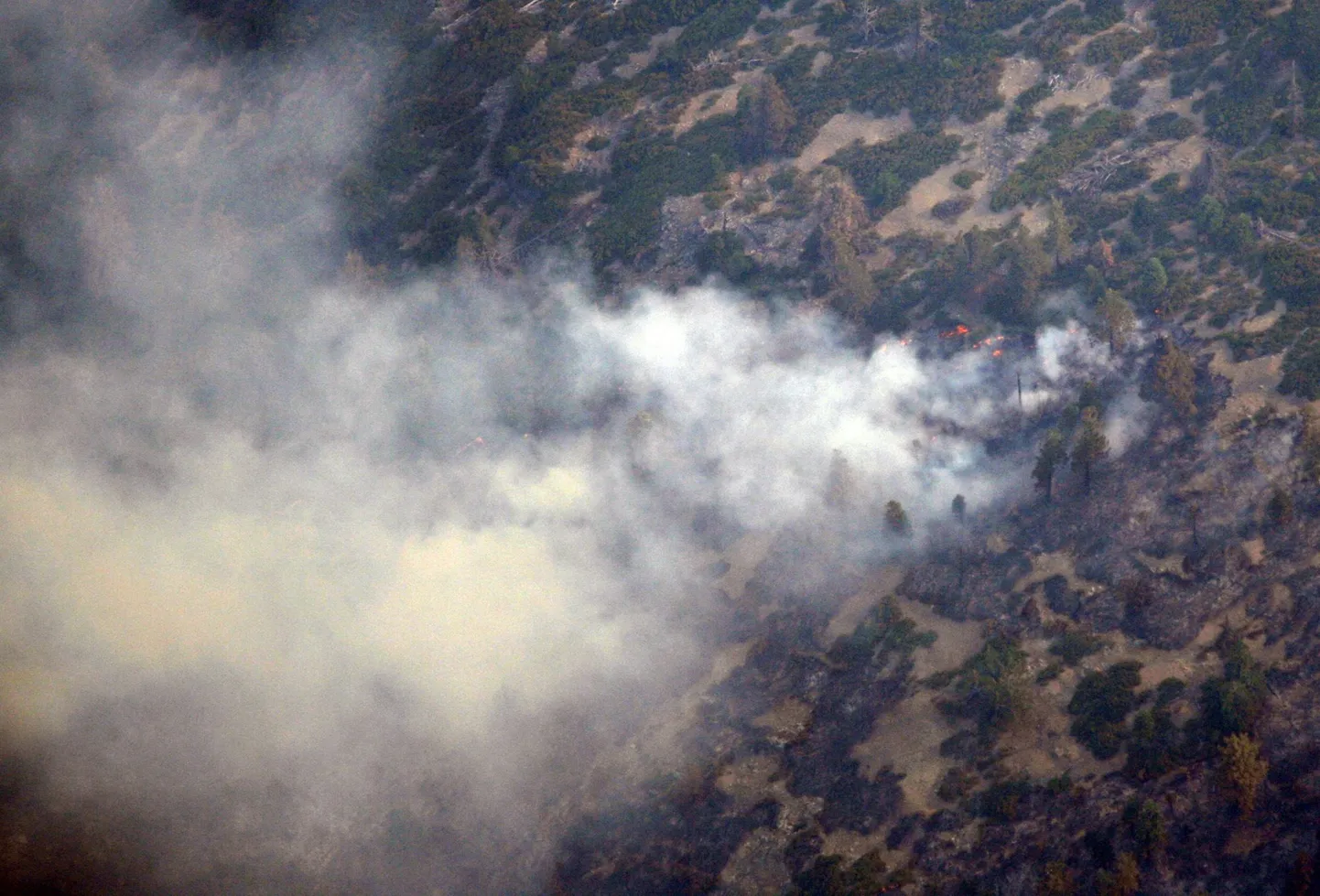 GPS koordinaatide järgi kukkus tuletõrjujaid vedanud helikopter alla just selles paigas Californias.