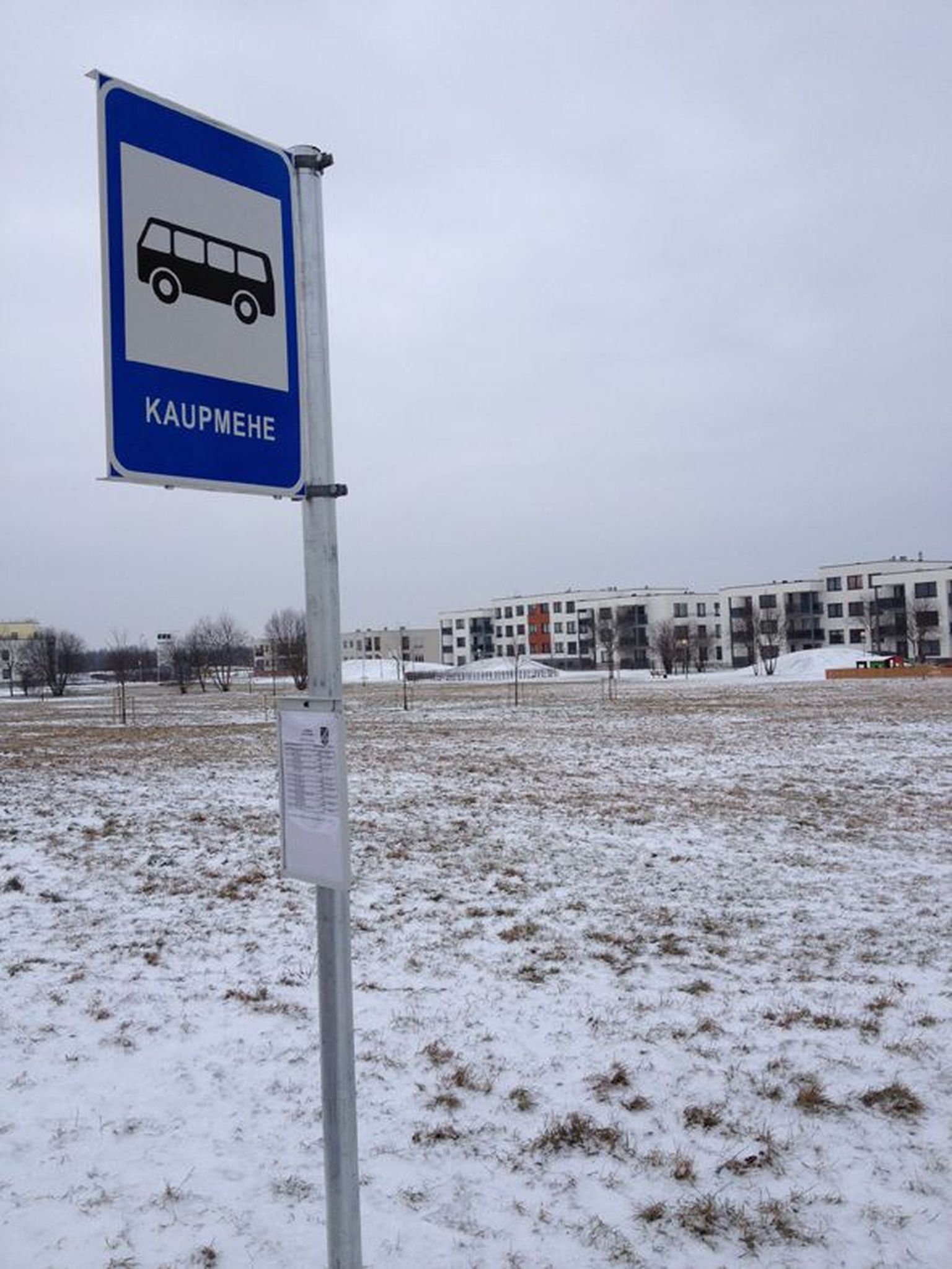 Buss nr 735 peatub Vahi aleviku ainsal kruusakattega teel, Kaupmehe tänaval, linna poole sõites kümme korda päevas.