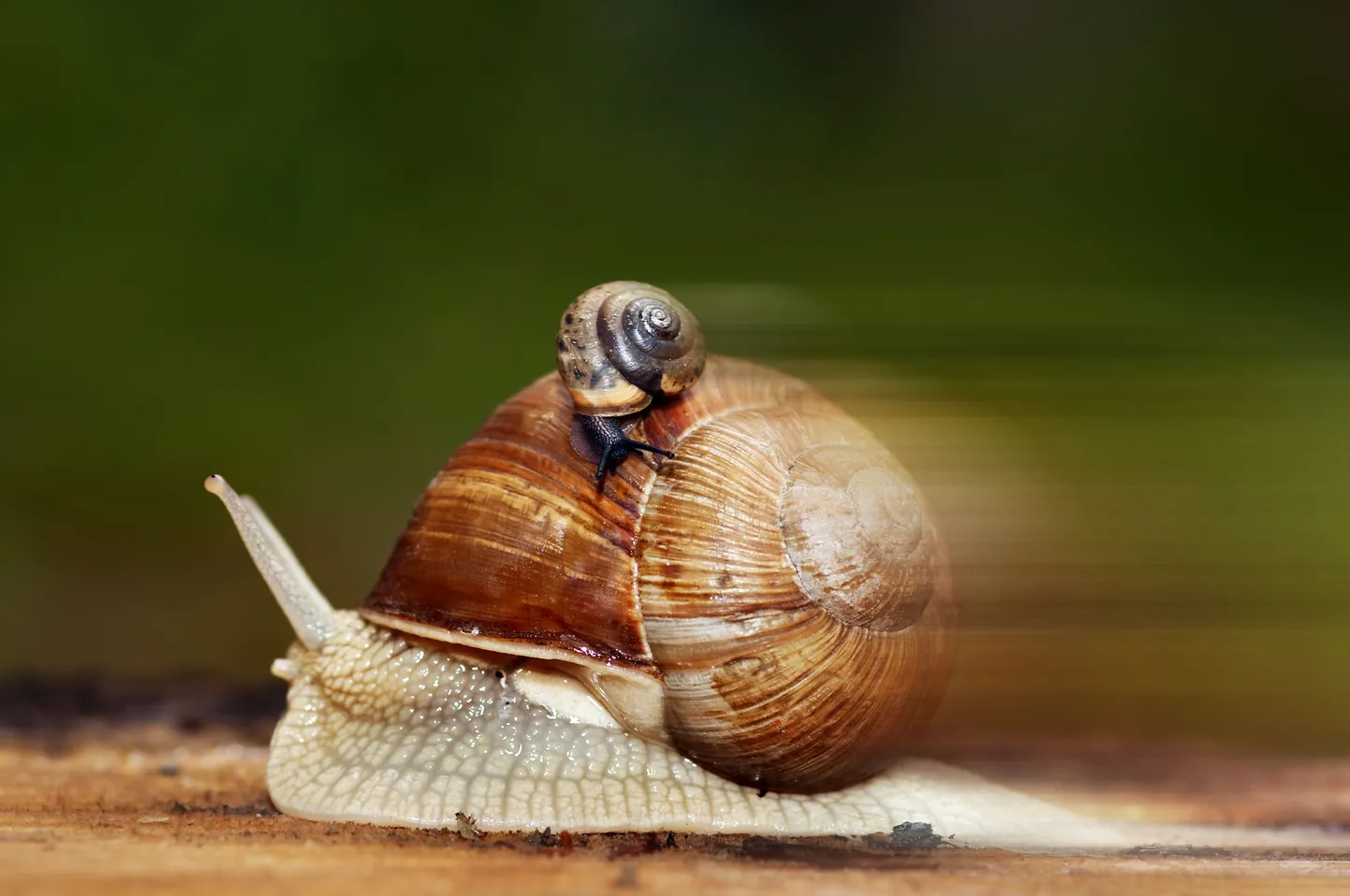 Kiirtoitu süües kipume kiirustama ka muul ajal.