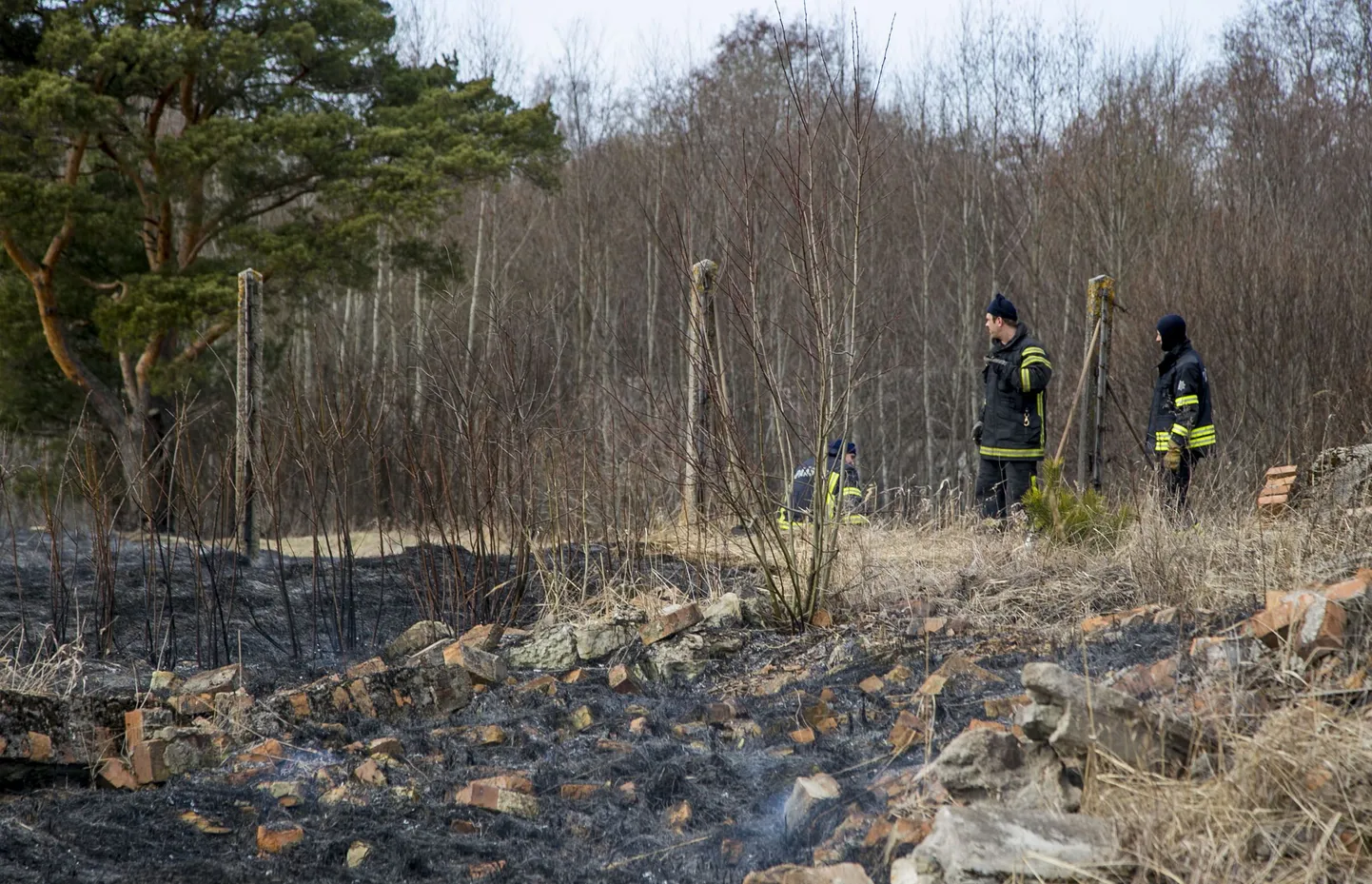 Kulupõleng. Foto on illustreeriv.