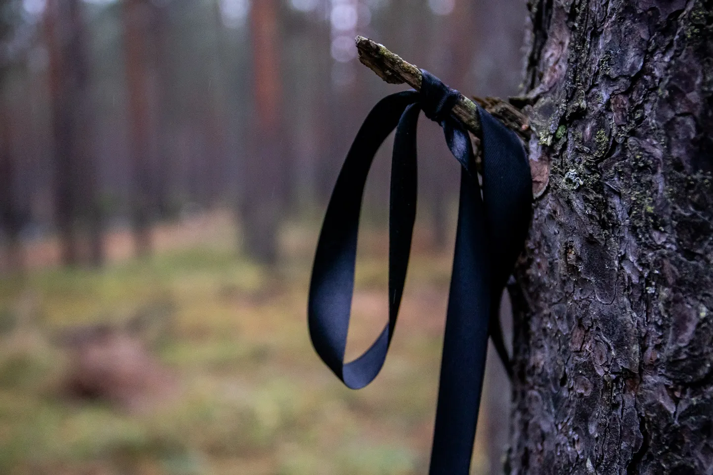 Narvas kadunuks jäänud Nikolai leiti surnuna.