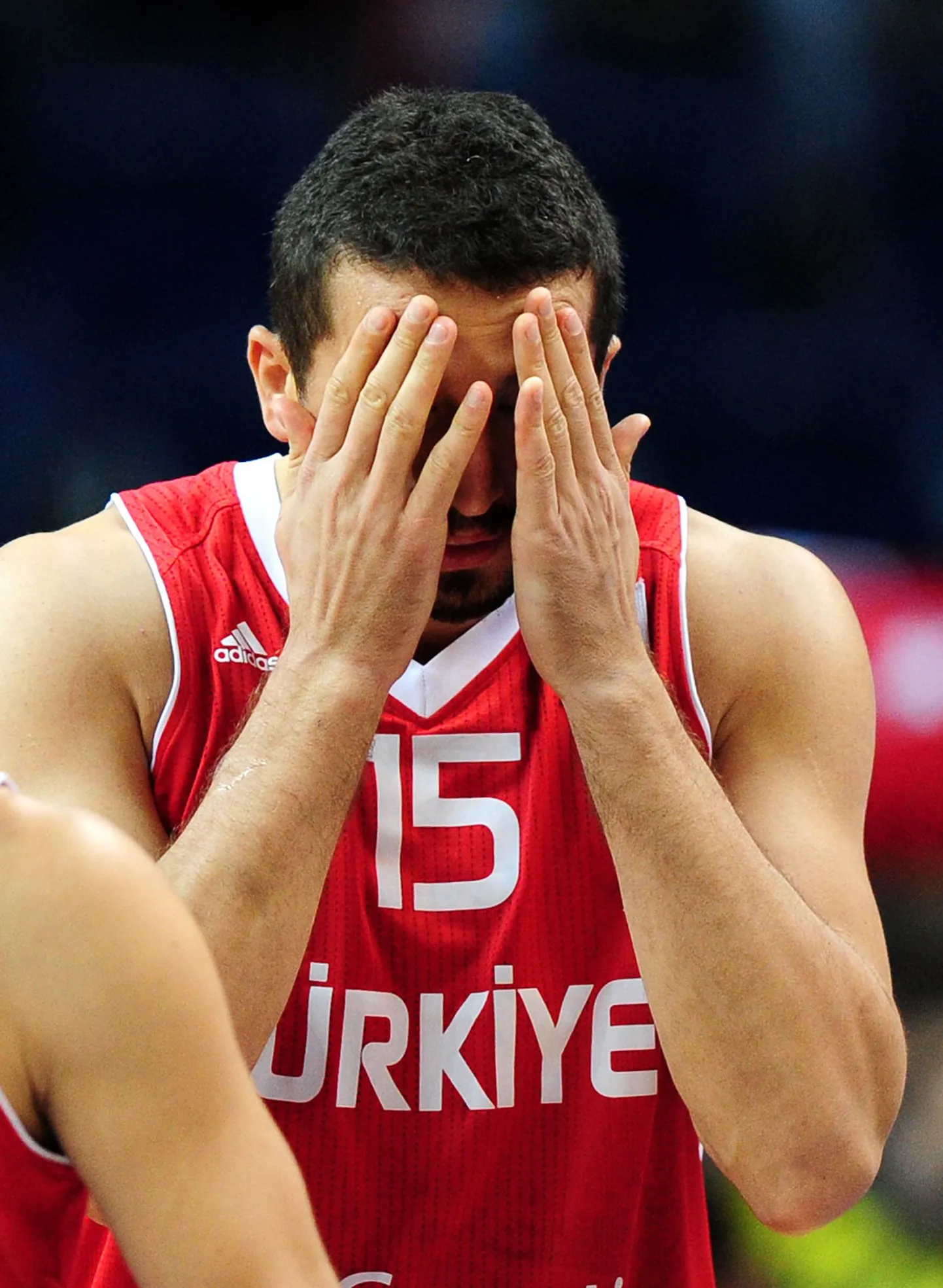 Hidayet Türkoglu.