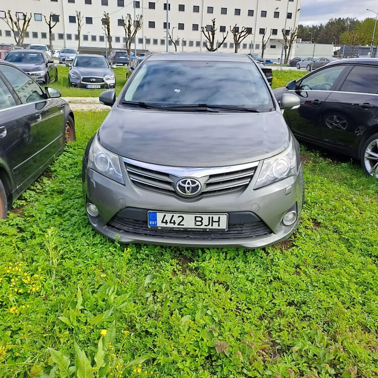 Artikli foto