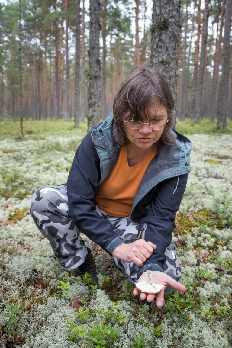Botaanik Loore Ehrlich näitab tuhmuva pilviku pealt, kuidas muidu valge jalg hakkab pärast korjamist mõne minuti möödudes hallikaks muutuma.
