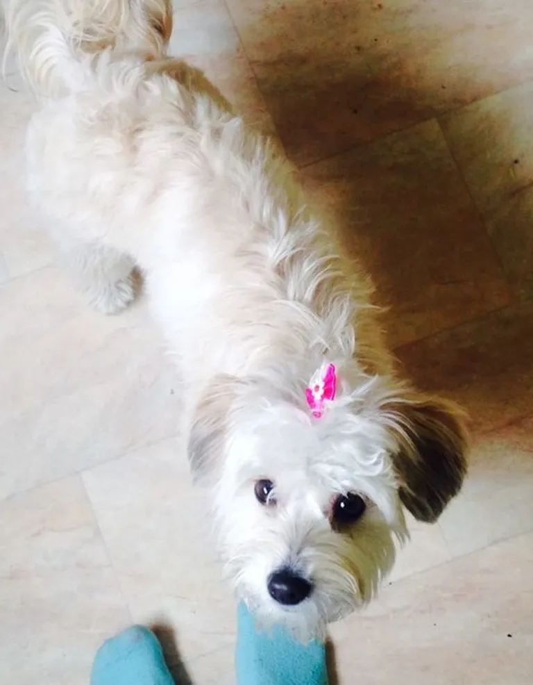 Bella. Foto: