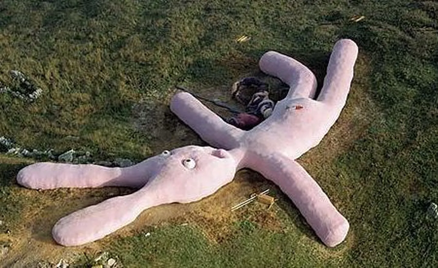 Google Earth avastas hiigelsuure roosa jänese