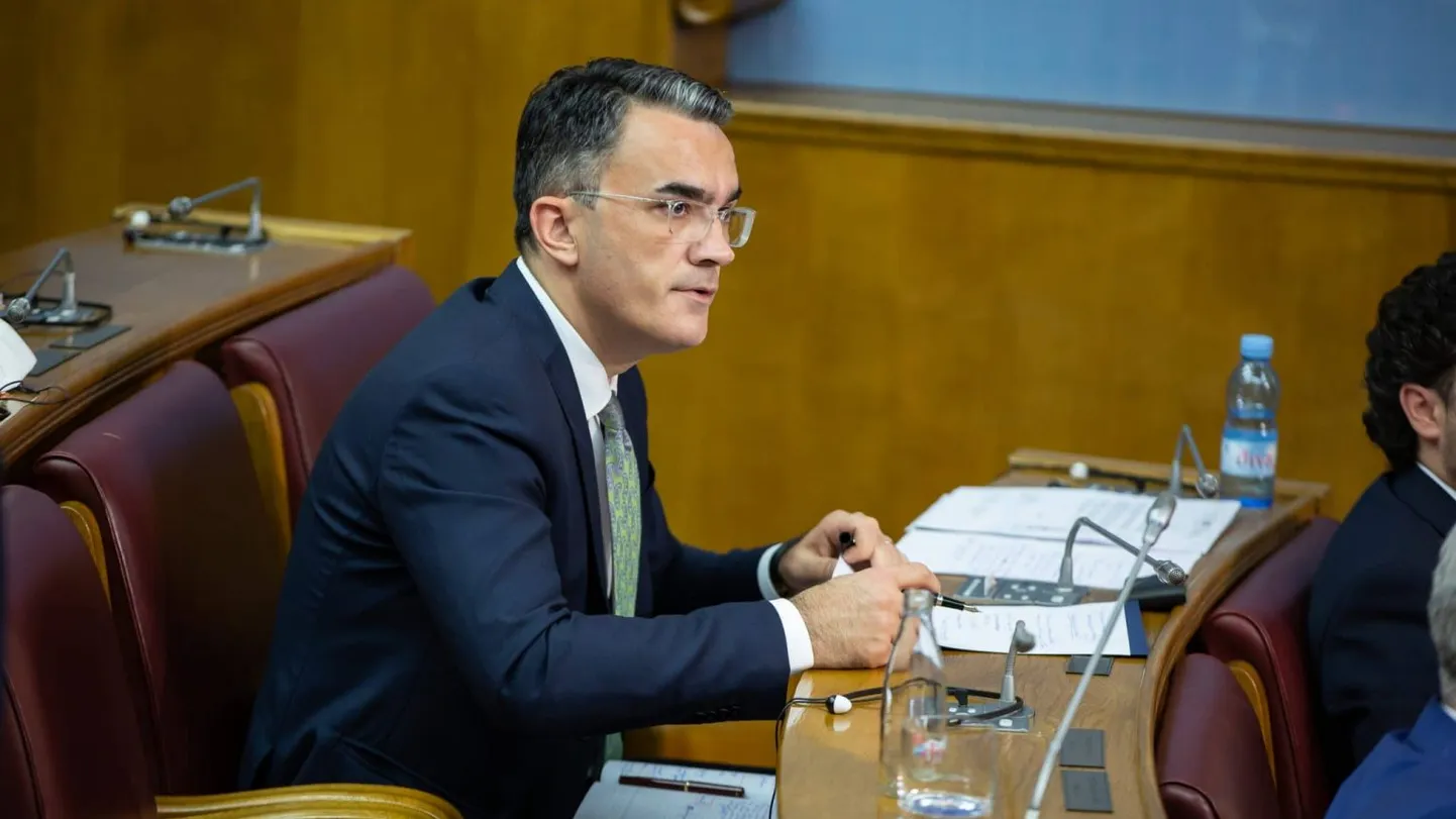 Vladimirs Leposavičs