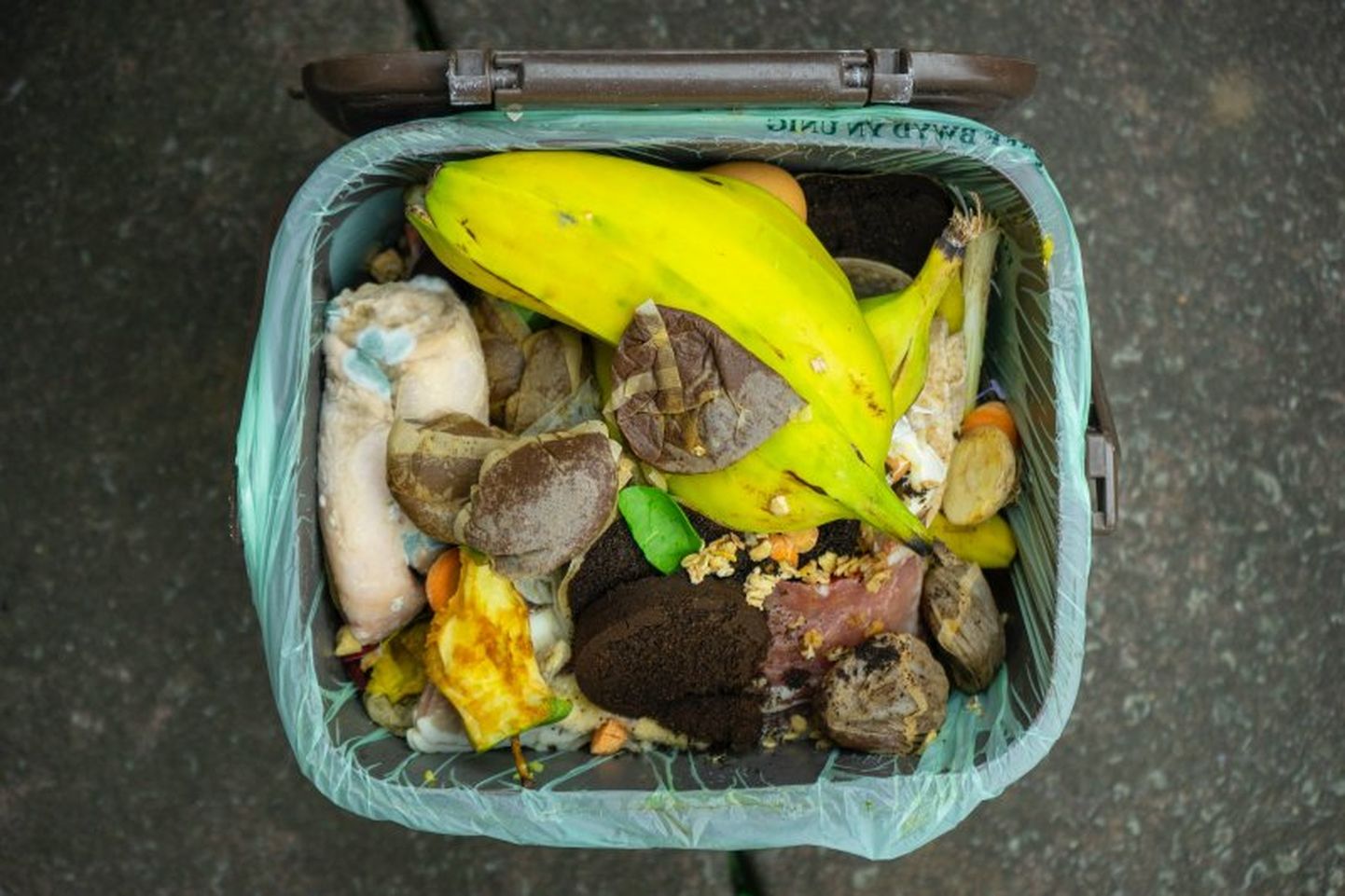 Biojäätmed moodustavad praegu segaolmejäätmetest lausa ligi kolmandiku.