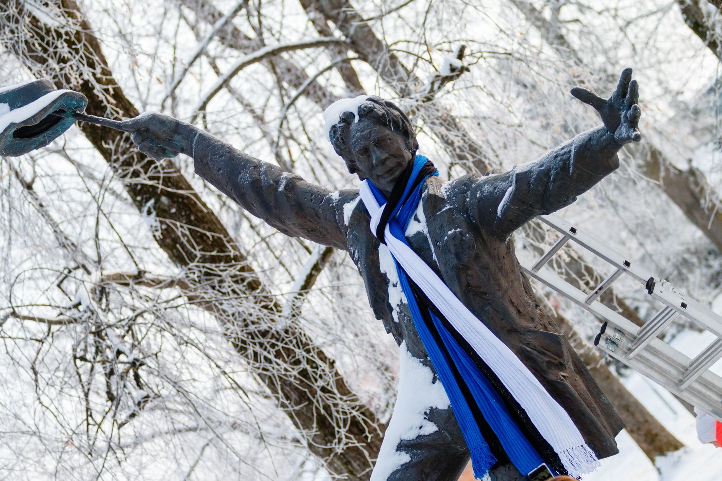 Nipernaadi skulptuur sai vabariigi sünnipäevaks sinimustvalge salli.



Foto: Arvo Meeks / Lõuna-Eesti Postimees