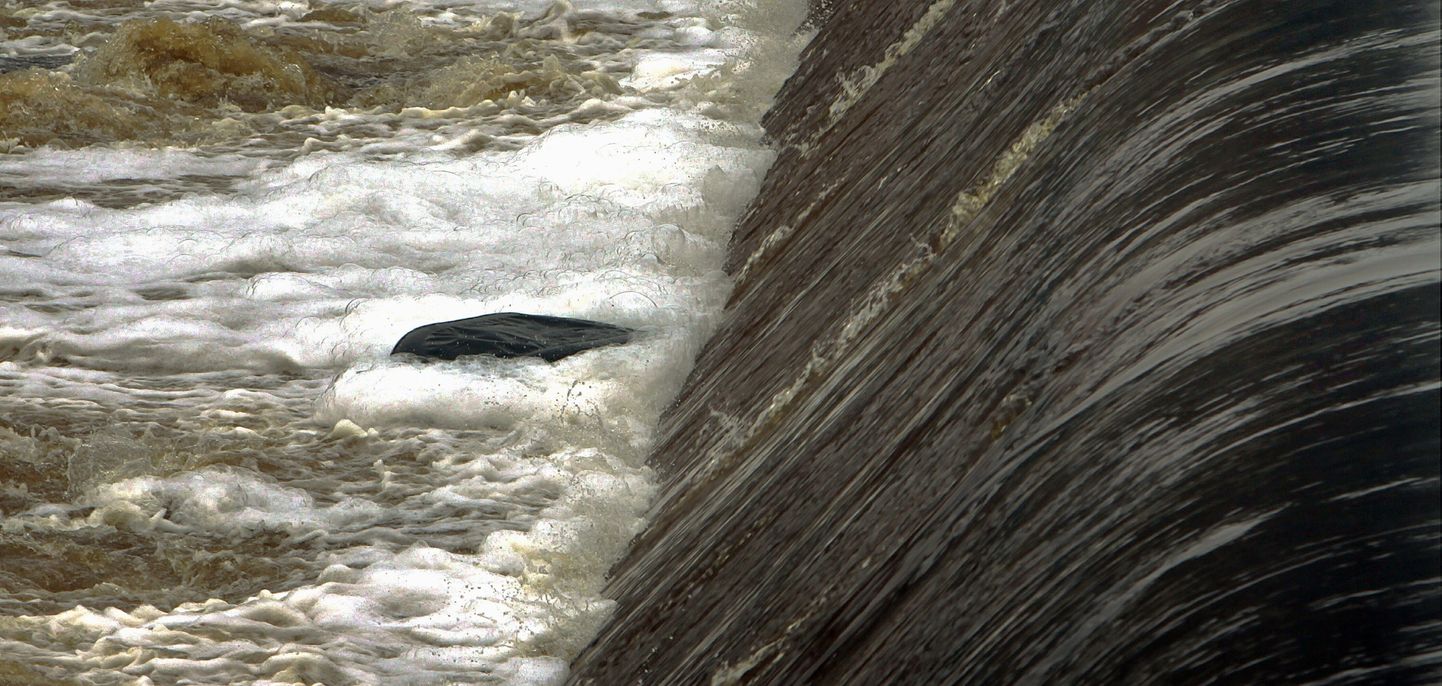 Pärnu jõel Sindi paisu juures hukkus päästetööde käigus üks päästja.
