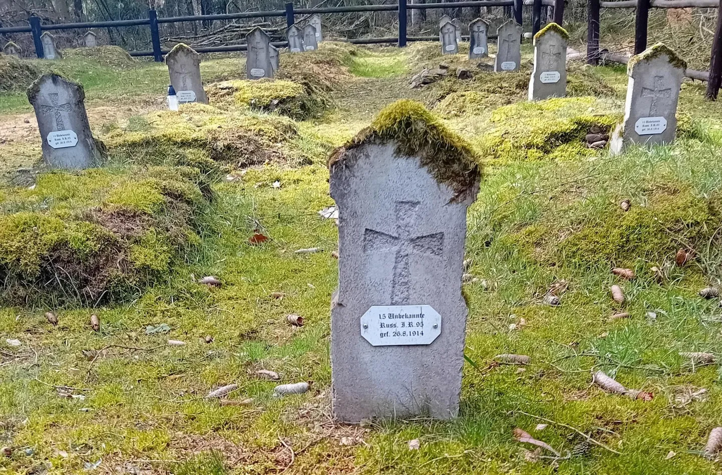 Hauasammastel on väiksed tahvlid kirjaga: Unbekannte Russ. I.R. 95 gef. 26.8.1914 ehk 95. jalaväepolgu langenud tundmatud Vene sõdurid, kelle hulgas leidub kindlasti ka eestlasi. Domajewo kalmistu Poolas.