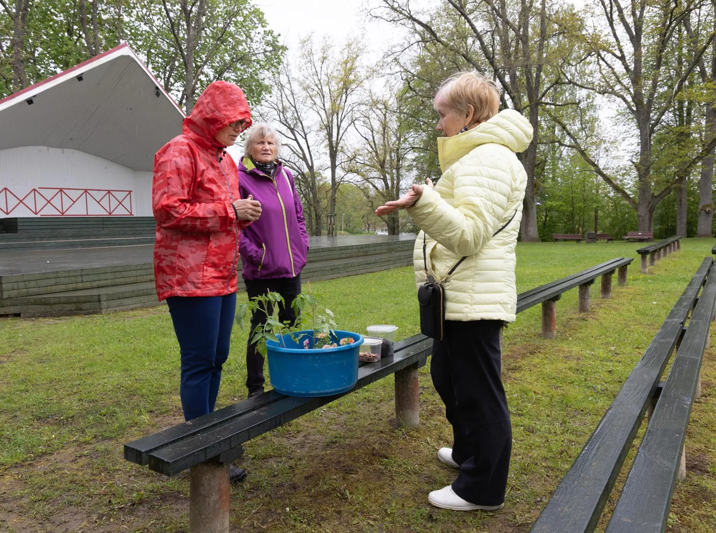Esiti oli Suure-Jaanis rohevahetusel kaupa tegemas vaid kaks rohenäppu, kes pakkusid aedoaseemneid ja tomatitaimi, ning kauba hulgas leidusid ka üks petuunia- ja põõsaistik.