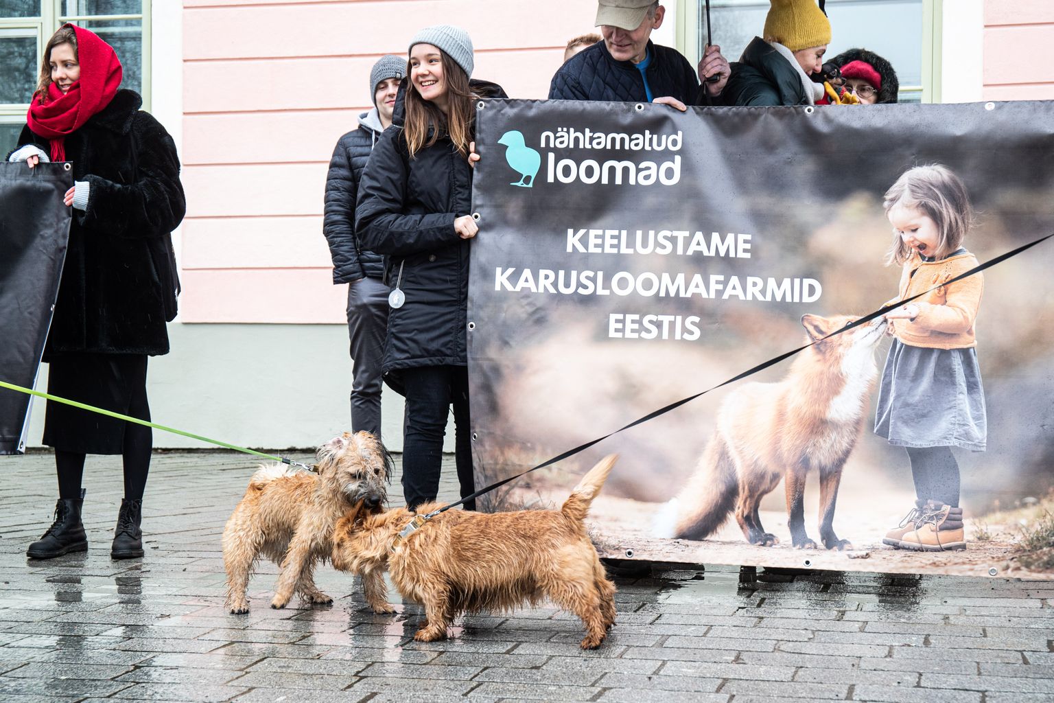 Tallinn, 30.01.2020. Loomakaitseorganisatsioon Nähtamatud Loomad andis karusloomafarmide sulgemiseks kogutud allkirjad üle Riigikogu esimees Henn Põlluaasale.