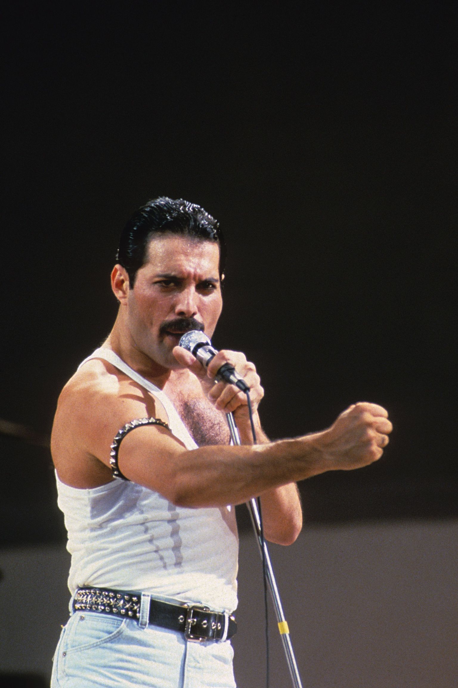 Muusik Freddie Mercury.