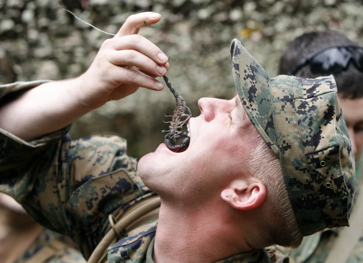 Skorpion on teel USA sõduri kõhtu