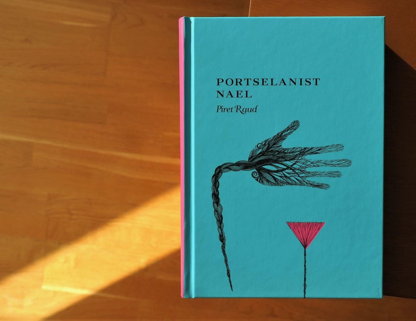 "Portselanist nael" on Piret Raua kolmas täiskasvanutele kirjutatud romaan.
