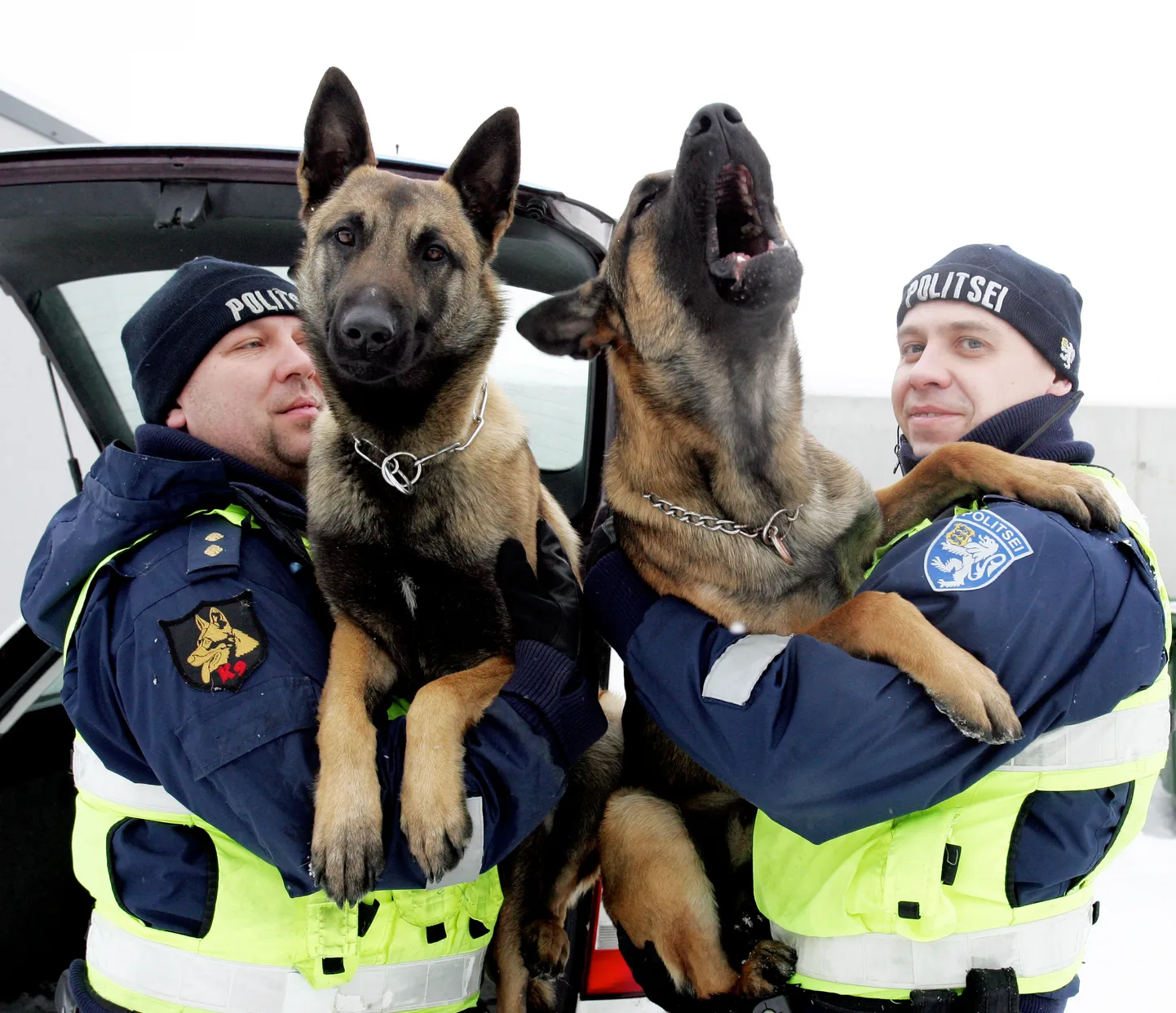В полиции с собаками работают кинологи, но полицейские не желают брать на себя обязанности по надзору за соблюдением правил содержания собак и кошек, установленных волостью.