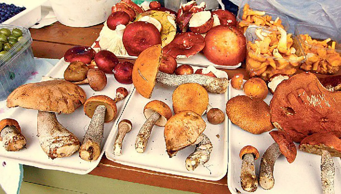 Выбор грибов на Ныммеском рынке пока невелик, но пик грибного сезона еще не наступил.