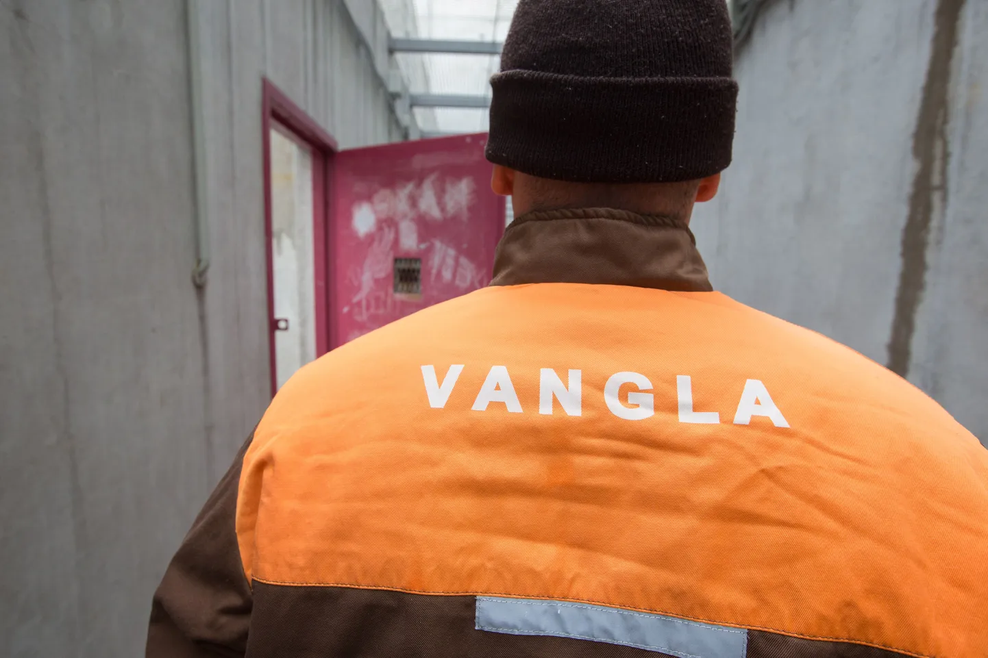 Ida-Virumaa kuritegeliku jõugu liikemeid hoitakse vahi all Viru vanglas.