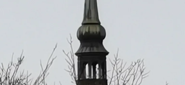 Artikli foto