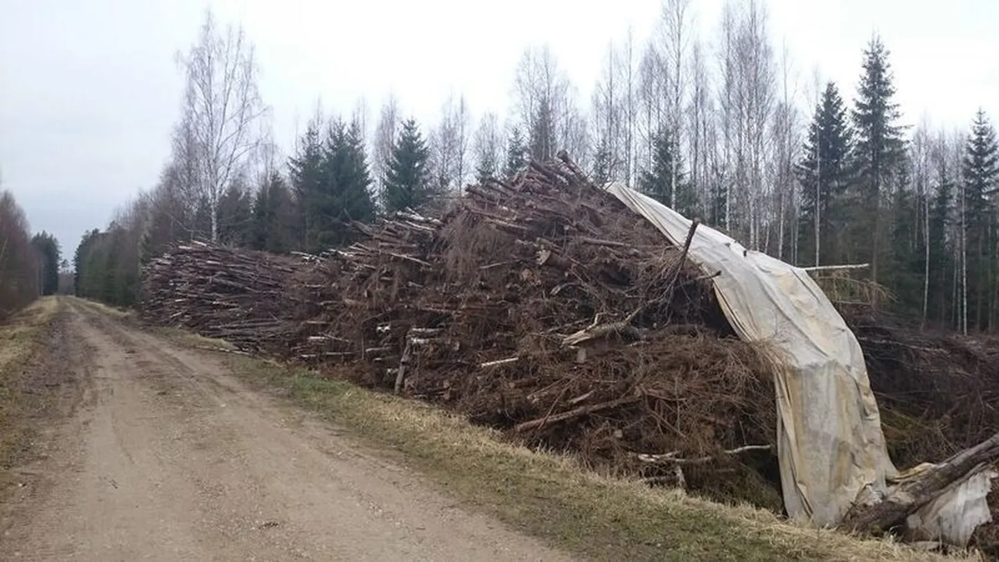 Вырубка кустарников вдоль канав.