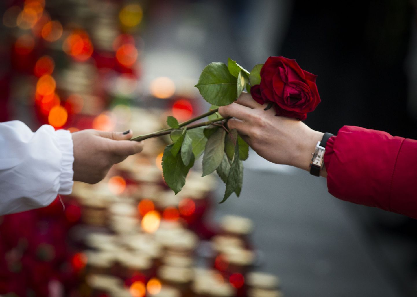 Цветы и свечи на месте теракта в Санкт-Петербурге.