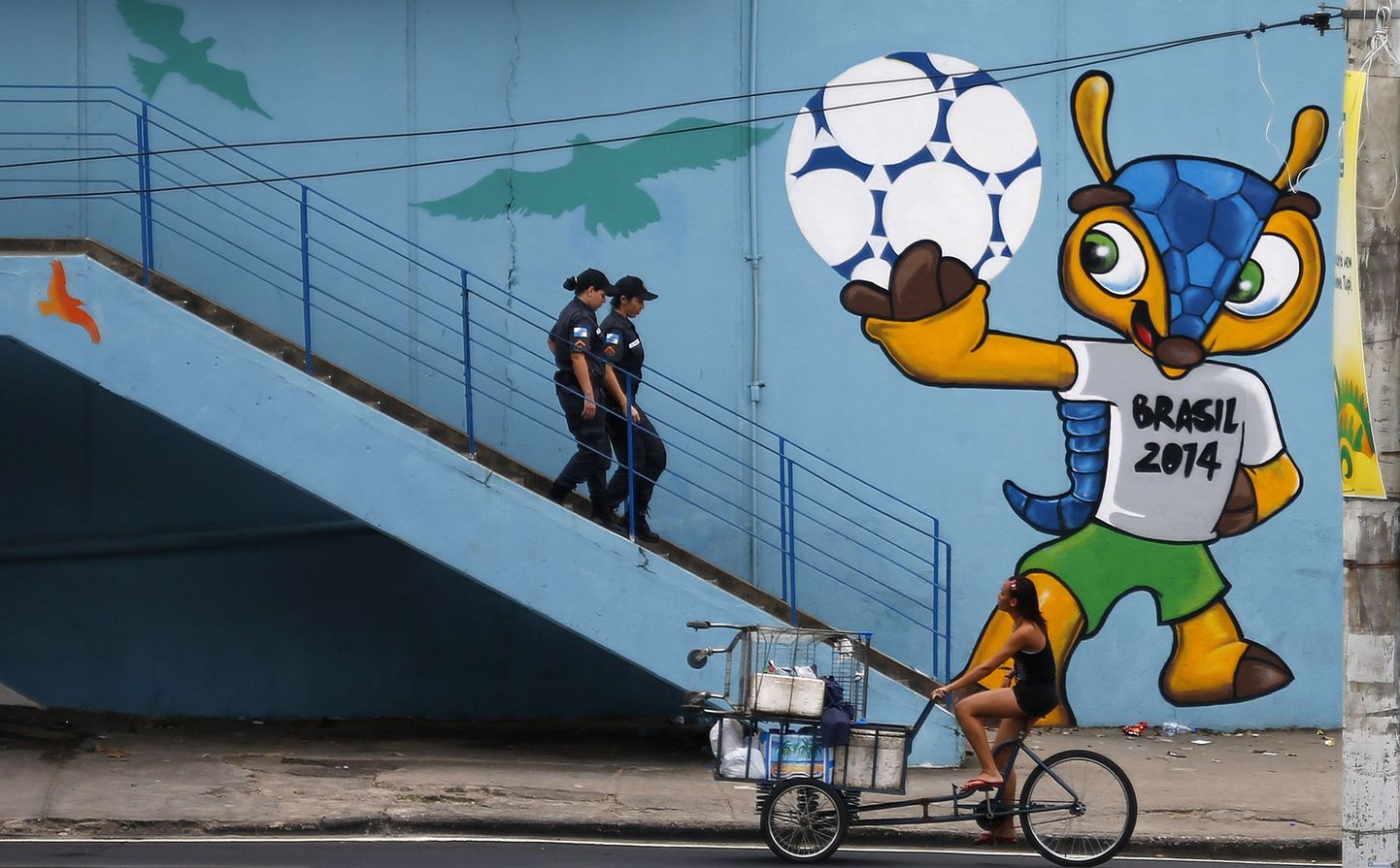 2014. aastal jalgpalli MMi maskott Fuleco.