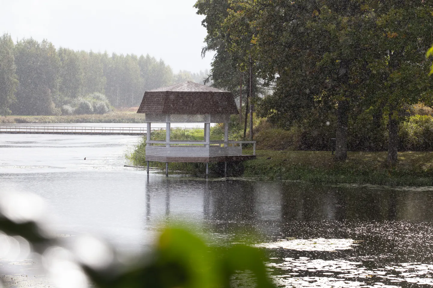 15.09.2022.Viljandi
Suure-Jaani. Vihmane ilm. Suure- Jaani järv.
Foto: Elmo Riig