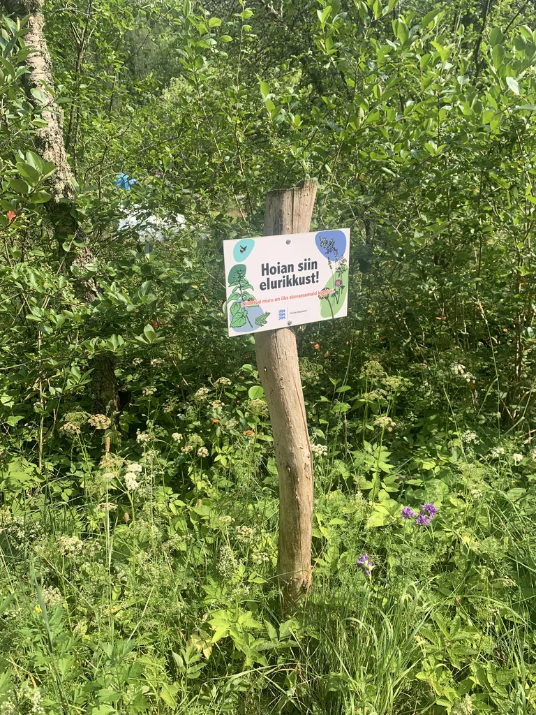 Kütiorg on väga liigirikas paik.
