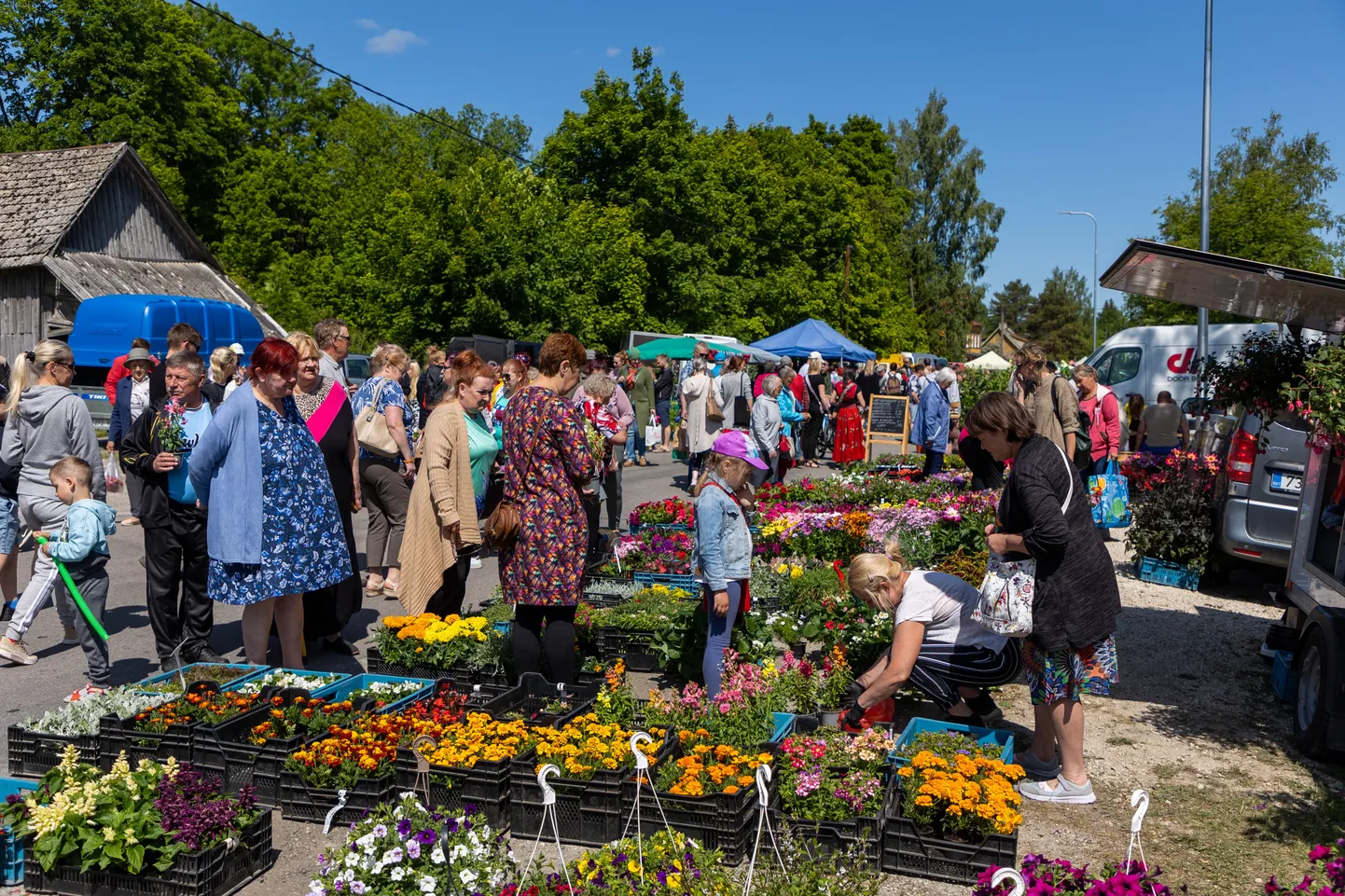Järva-Jaani tänavafestival