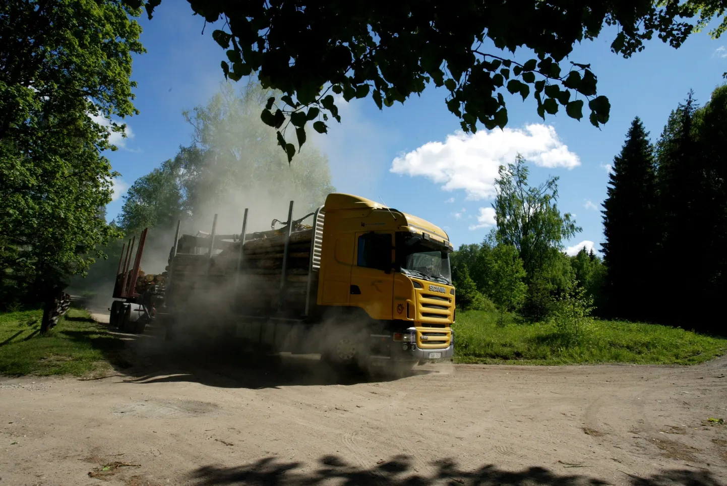 Luua metsanduskool avab metsaväljaveo autojuhi eriala, sest see amet nõuab palju teadmisi ja oskusi.
