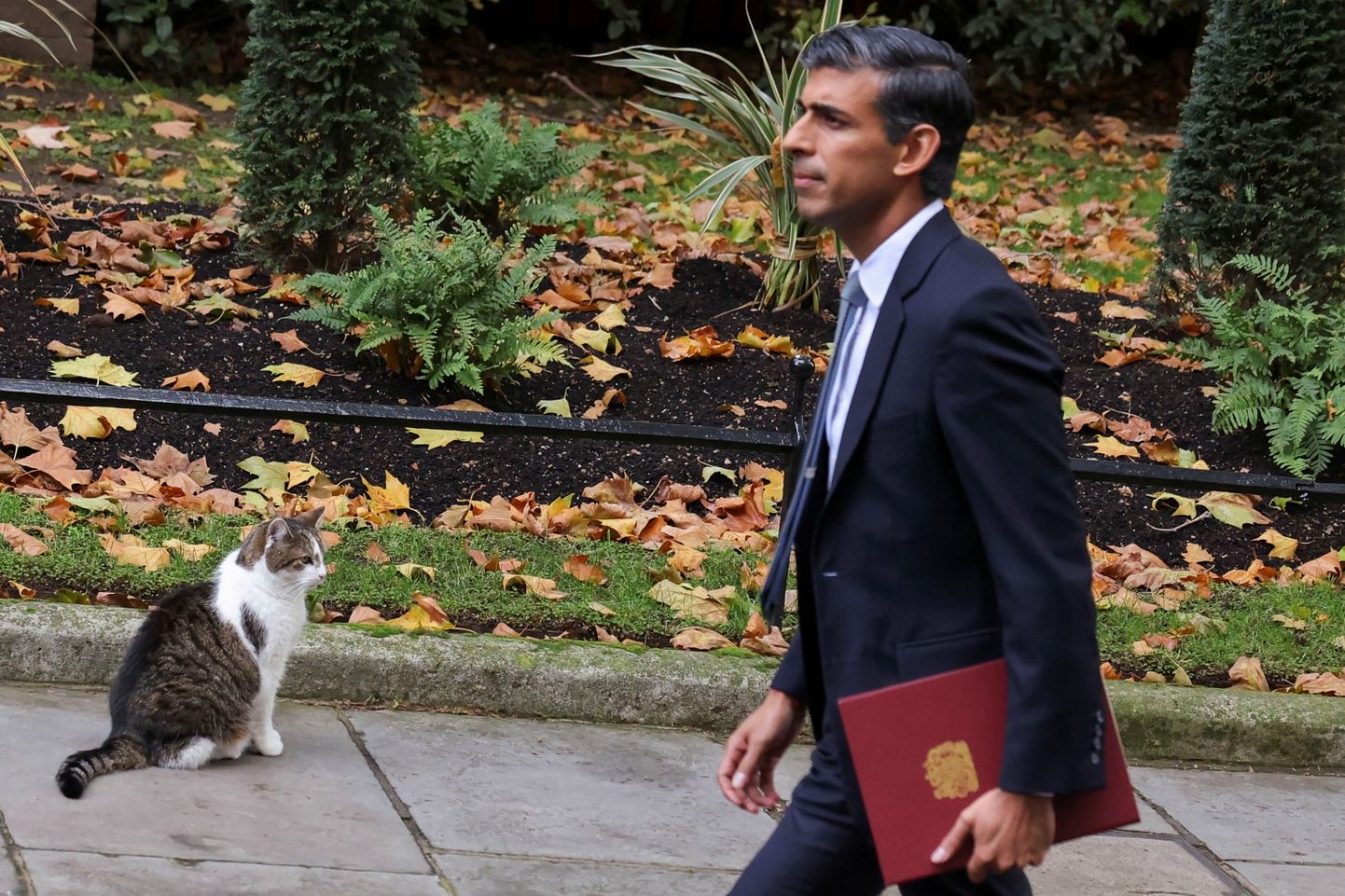 Suurbritannia uus peaminister Rishi Sunak astub peaministri residentsi suunas kohaliku kassi, Larry, terava pilgu all.