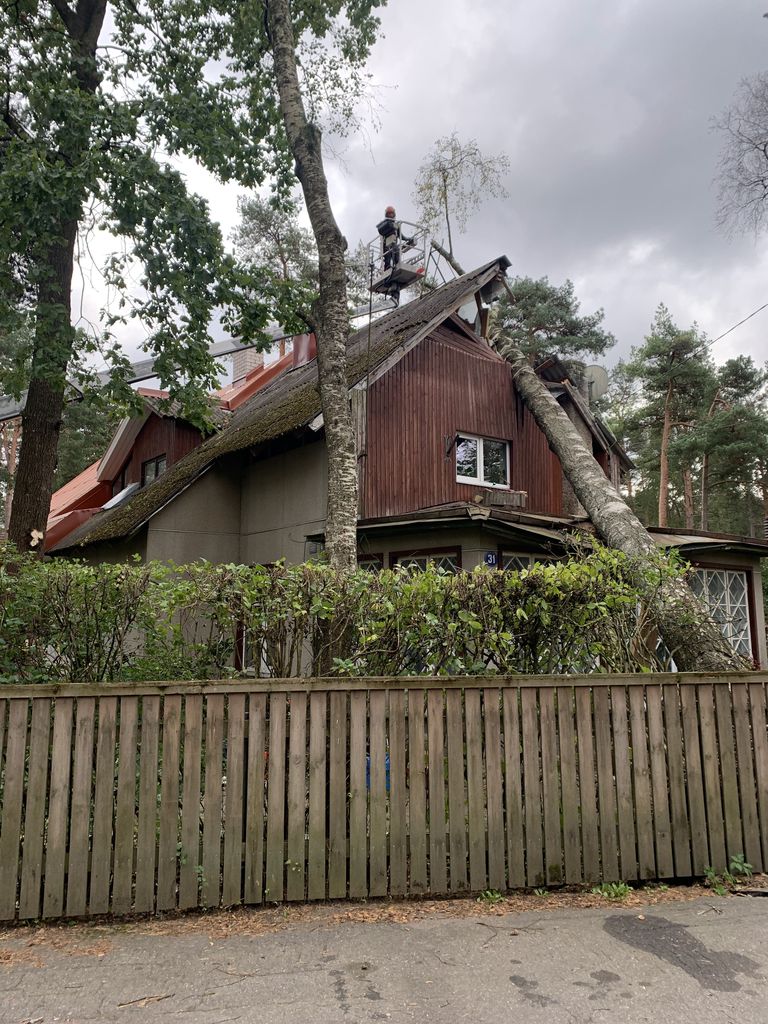 В воскресенье на дом в Нымме упало дерево.